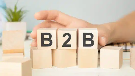 asesoría B2B